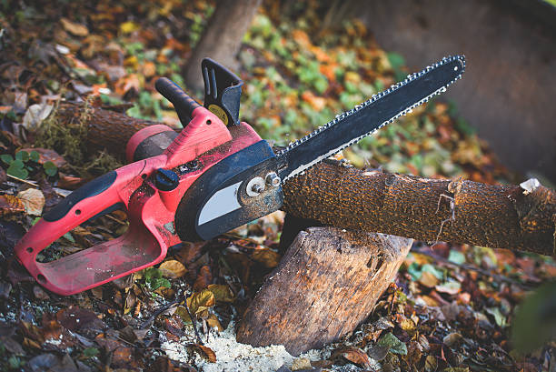 Leaf Removal in Morgantown, PA